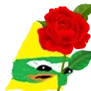 donki rose